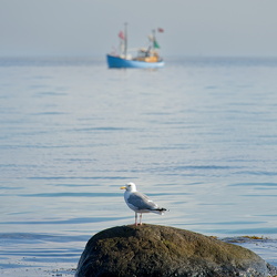  A746910